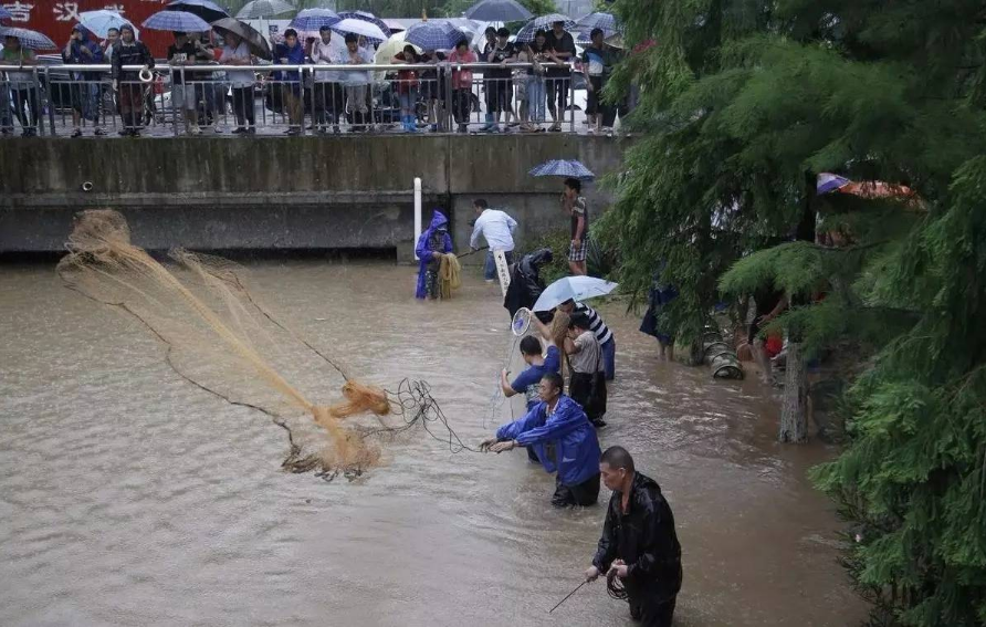 邕江|岁末了,盘点2020年垂钓圈发生的几件“大事”,一起来回顾一下吧