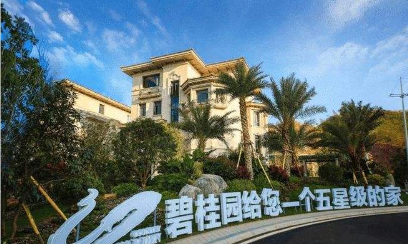 房价|业主每睡一觉亏1250元！碧桂园疯狂降价，仍然挡不住销量下滑
