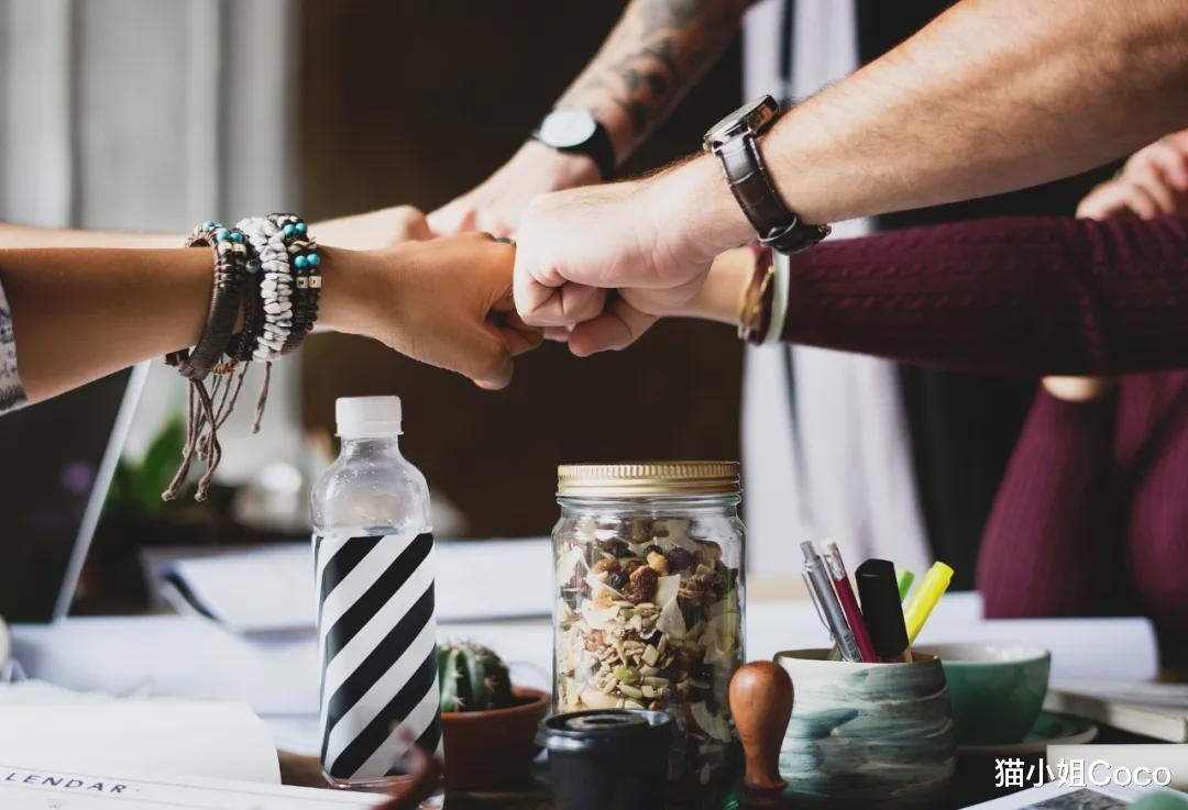 猫小姐Coco|真正高级的人生，都做到了这三点