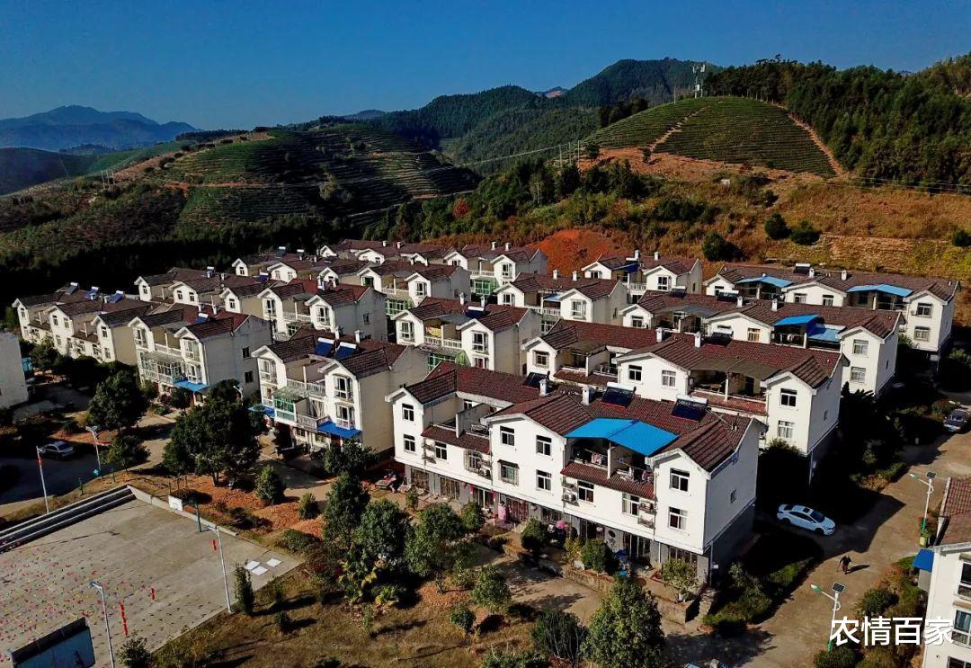 农情百家 农村大发展，究竟什么人有资格迁回户口？这“五种人”真有福！