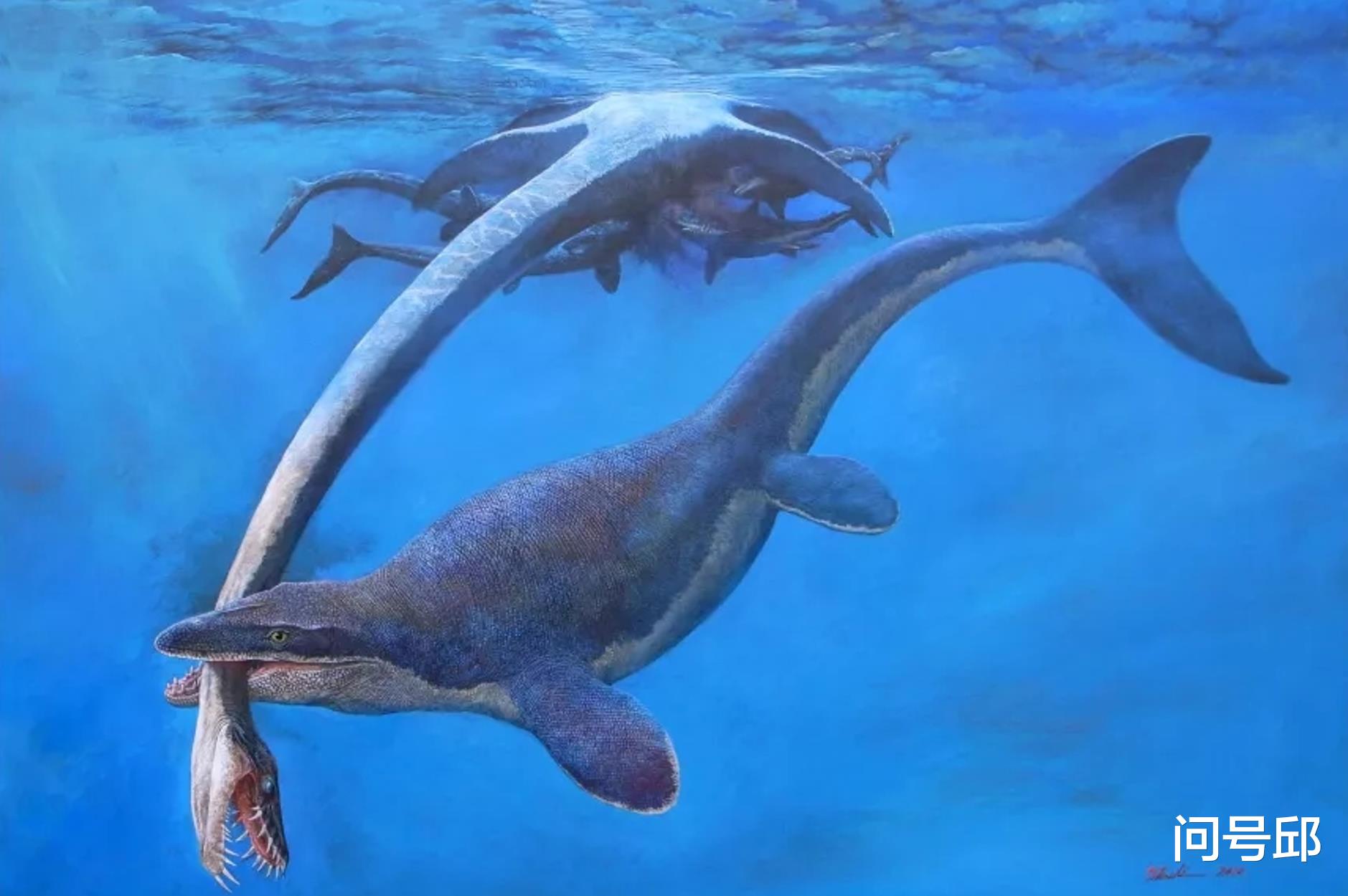 化石 发现8000万年前的新物种沧龙化石，曾经覆盖美国的古代海域