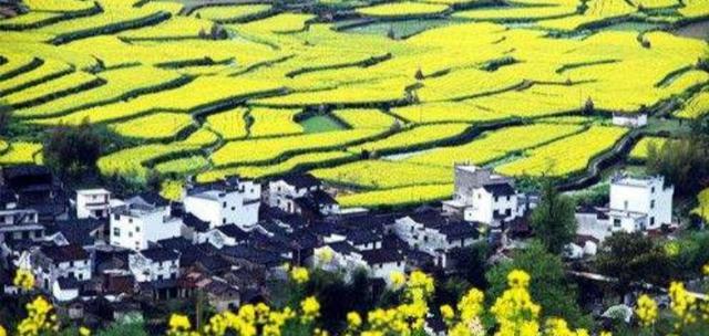 魏洪玉说育儿|在市里每年有一个稳定的收入，现在计划回农村创业大家感觉靠谱吗？