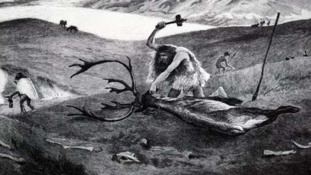 |国外网友钓鱼时,和熊偶遇,为什么熊没有攻击这些钓友呢?