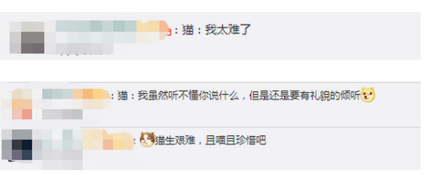 青海新闻联播 高校大爷训话猫咪，要每天读书学习，做不到就要“逐出”校园！