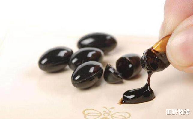田野牧蜂|蜂胶胶囊的作用与功效? 蜂胶软胶囊不适宜人群?