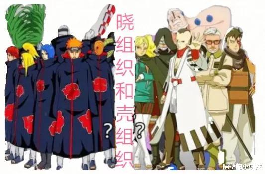 殼組織|火影：“曉組織”和“殼組織”，他們有什么區別嗎？