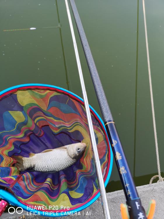 |【汀友同城约钓】同城五人组合，相约黑坑约钓，相互交流！