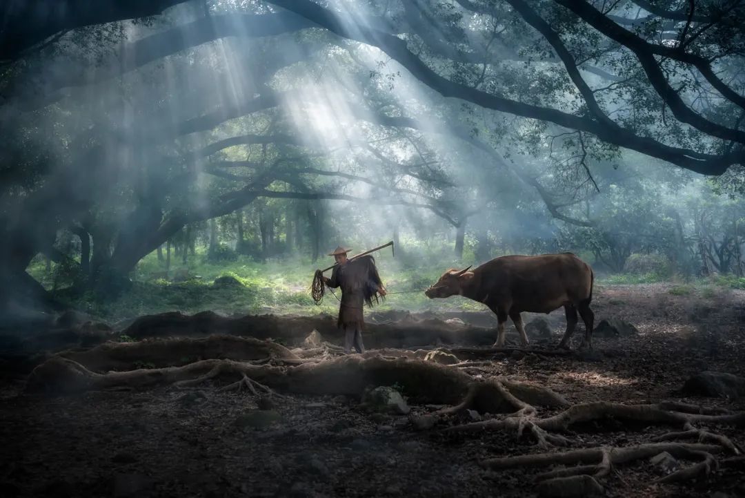 崇礼|看过这些景区的“素颜照”，我再也不想去旅行了！