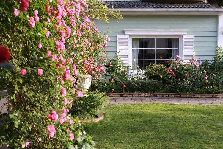 |买了别墅花园房，用5年时间，亲手设计打造400㎡别墅花园，太美了