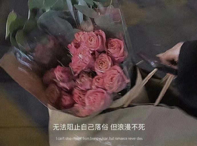 健康常识|很酸的文案|失眠的星星数着还没睡的人