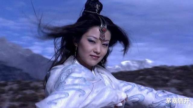 天龙八部|漫谈胡军版《天龙八部》中的美女演员
