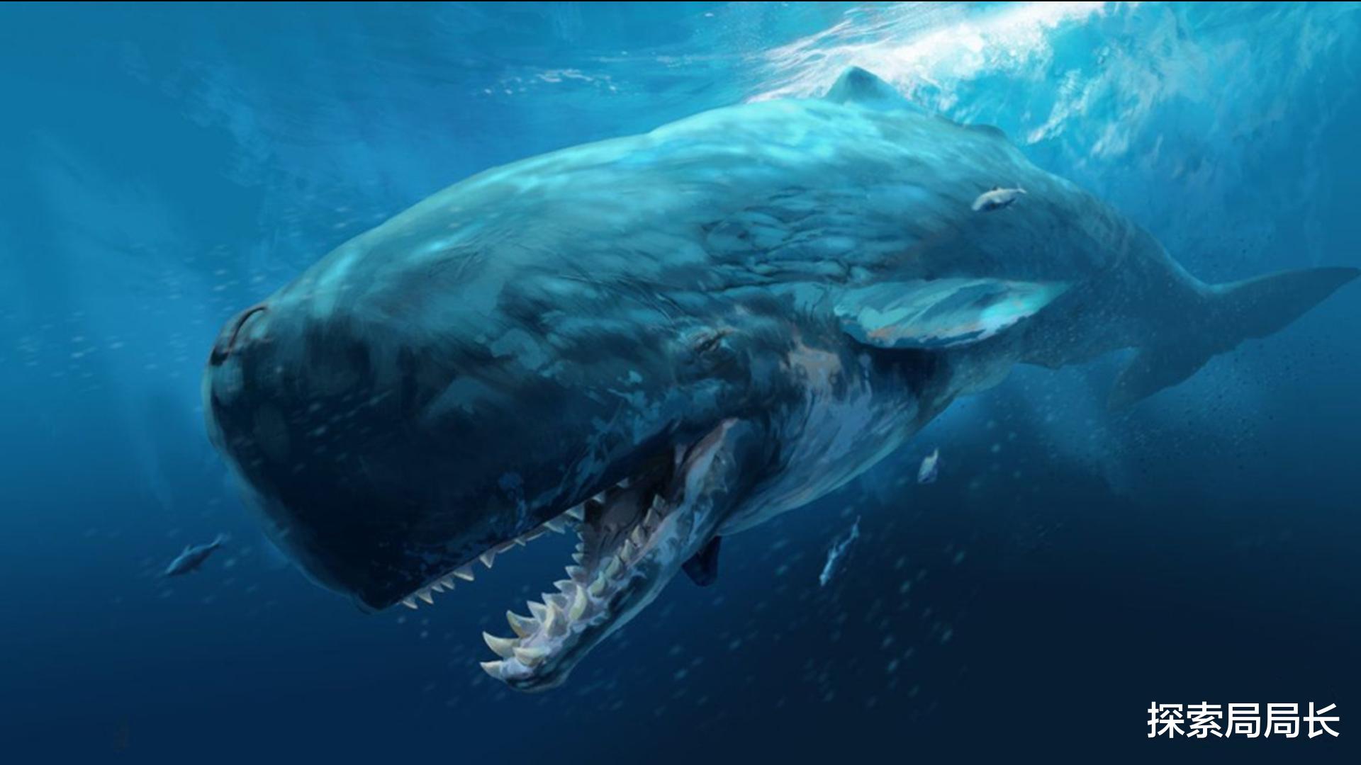 沧龙 盘点史前最强大的10种生物，巨齿鲨仅排第6，沧龙力压帝鳄排第2