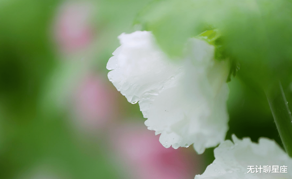 印度|10月份，顺利逆袭的4个星座，让人刮目相看，全凭自己的努力