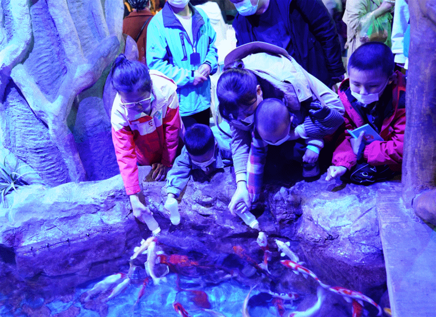 曲江新区 五一来曲江，就这么玩！