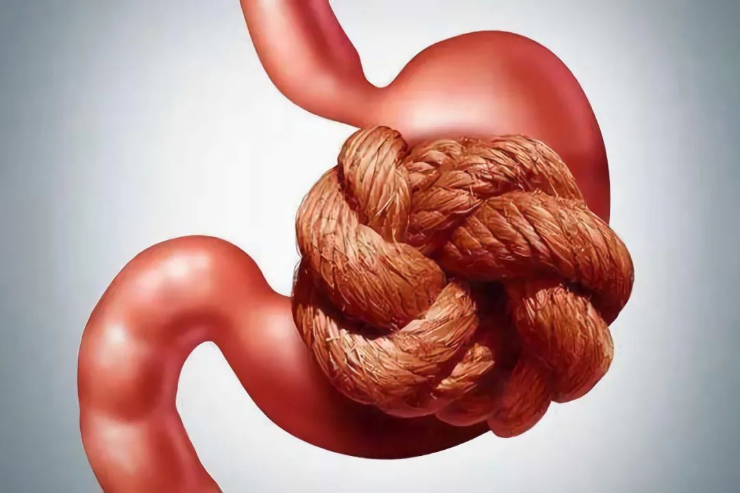 金兰中医学社|蒲公英虽好,但是要想为健康谋福利,还需注意这“三不喝”