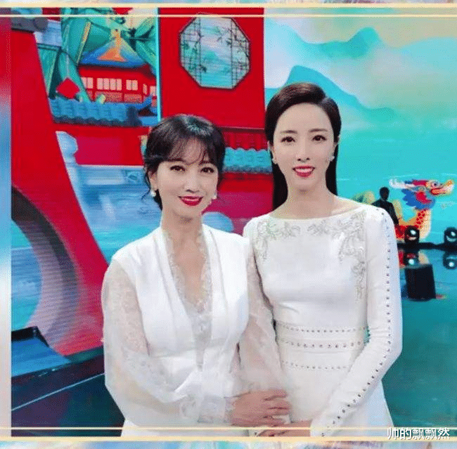 李思思|央视著名美女主持人李思思：3年连生两个儿子，风光背后有艰辛