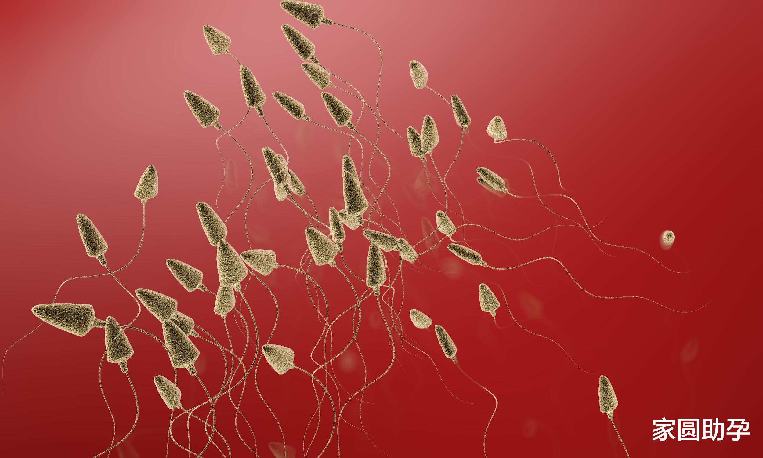 家圆助孕|下身瘫痪会丧失生育能力?《乔家的儿女》王一丁的求“生”之路!