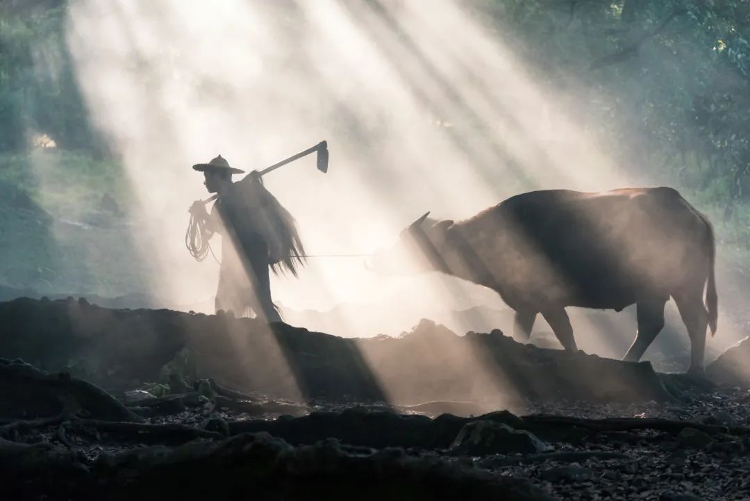 蚌埠广电 今日3时37分，将满未满，正好！