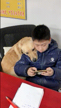 电影|“绿得也太突然了,电影都不敢这样演,比中500万的概率还低啊!”哇哈哈哈~