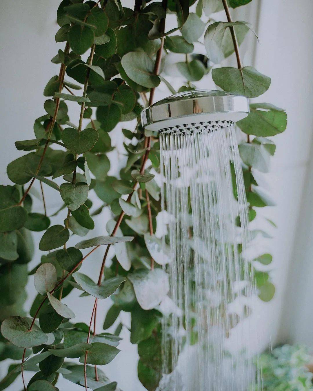 精致女人导师晓聪|最有情调的生活，可以这样过~