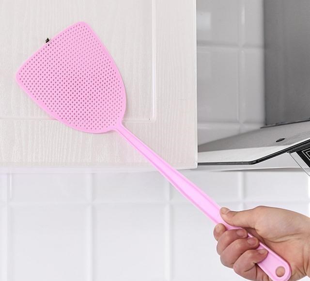  为什么人类用手打不到苍蝇，而用拍子却可以？