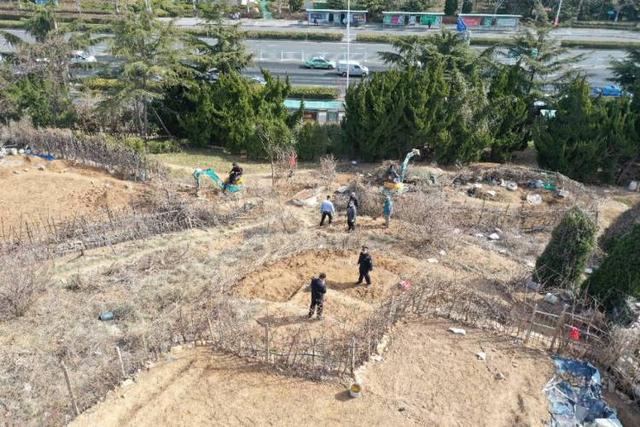 半岛新闻客户端 空地变菜地！居民私自“开荒”，执法人员忙清理