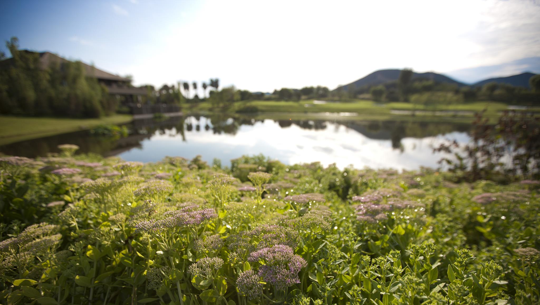 民警 男子借钱买车带患癌好友外出旅行 人生得一知己足矣