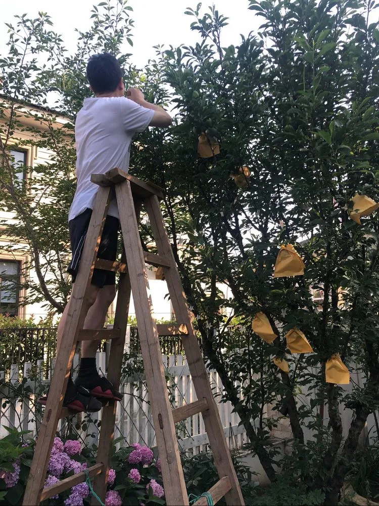 |买了别墅花园房，用5年时间，亲手设计打造400㎡别墅花园，太美了