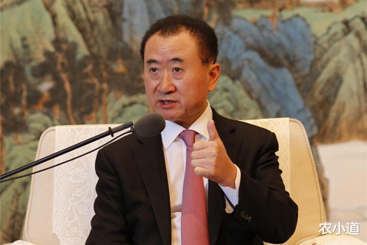 杨幂|负债6000亿轻松还！王健林荣耀归来，重登胡润富豪榜单