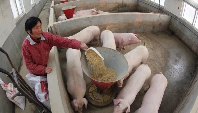 教教你家娃|养殖户注意了，3类养殖模式将受“严查”，不整改的或负法律责任