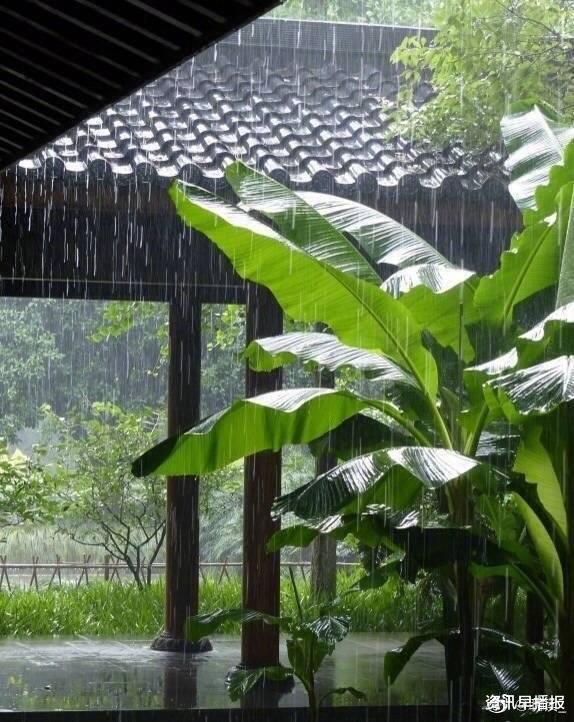 资讯早播报 雨天虽多苏州“捡了个漏”,雨水暂歇…但清明假期气温“三连降”