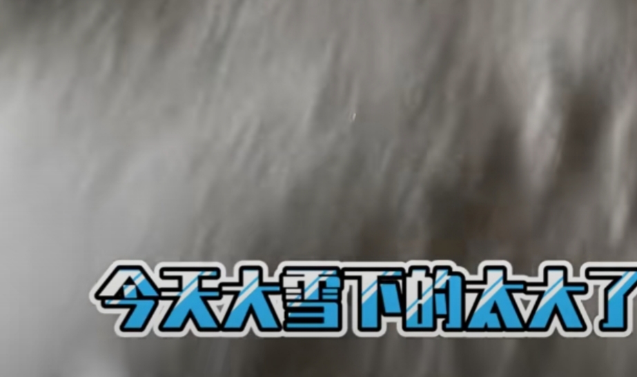 范冰冰|赵本山凌晨四点和徒弟扫雪，女儿在直播中炫富，父女口碑两极分化