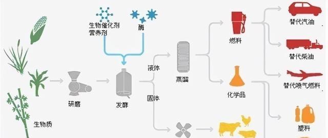 |为何说“生物质能”，是人类未来发展的重要能源？3个影响很关键