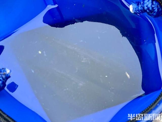 白沙|白沙河畔细雨蒙蒙，雨中垂钓其乐融融