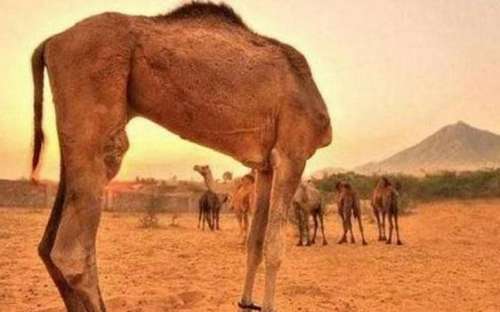 舜网 “最抓狂”的5张图,桥上的看风景,桥下的人在看你,谁在楼上?