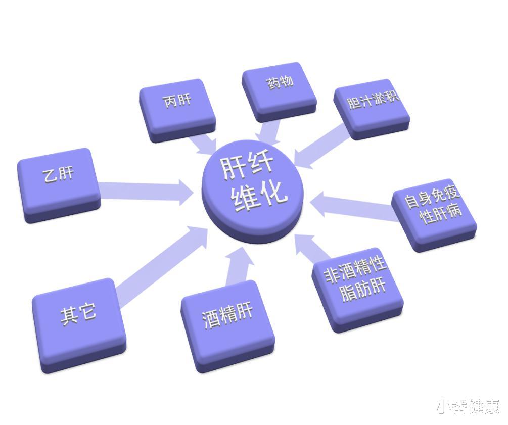 小番健康|AATLD在研新药Belcesiran，I期中期数据，可显著减少异常AAT蛋白
