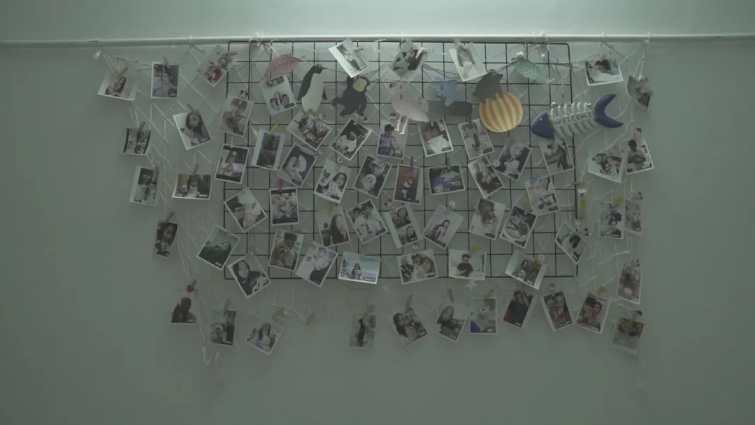 案件通报 流浪猫泛滥成灾，女子为2000多只流浪猫做绝育，花光50万积蓄