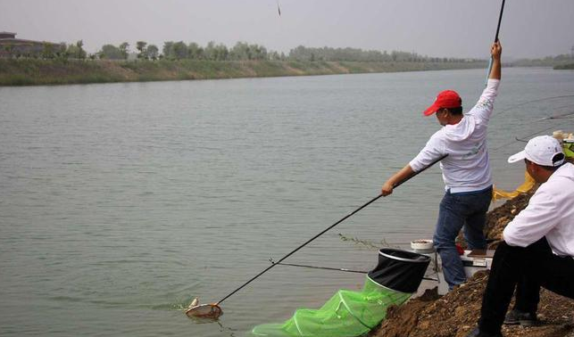 |这些不起眼的小水域，或许就藏着大鱼