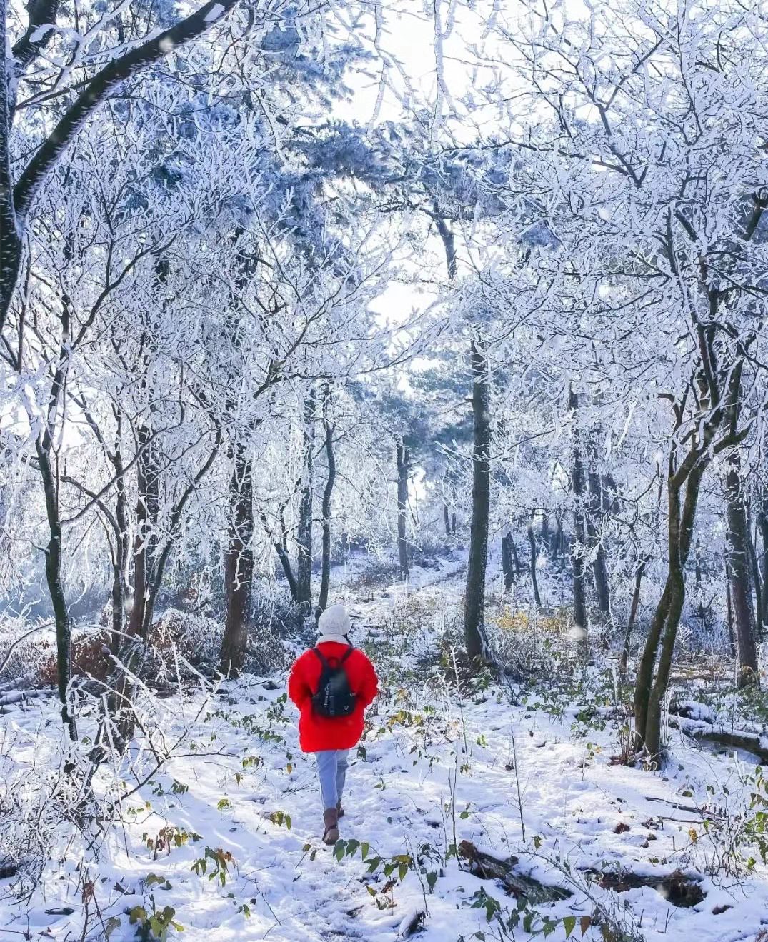 |宁波冬季出游攻略，本周末宁波很有可能会下雪！赏雪攻略请收好