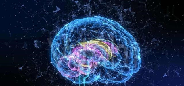 科学家 玻尔兹曼大脑是什么？它是否真实存在？这种想法让人感到不可思议