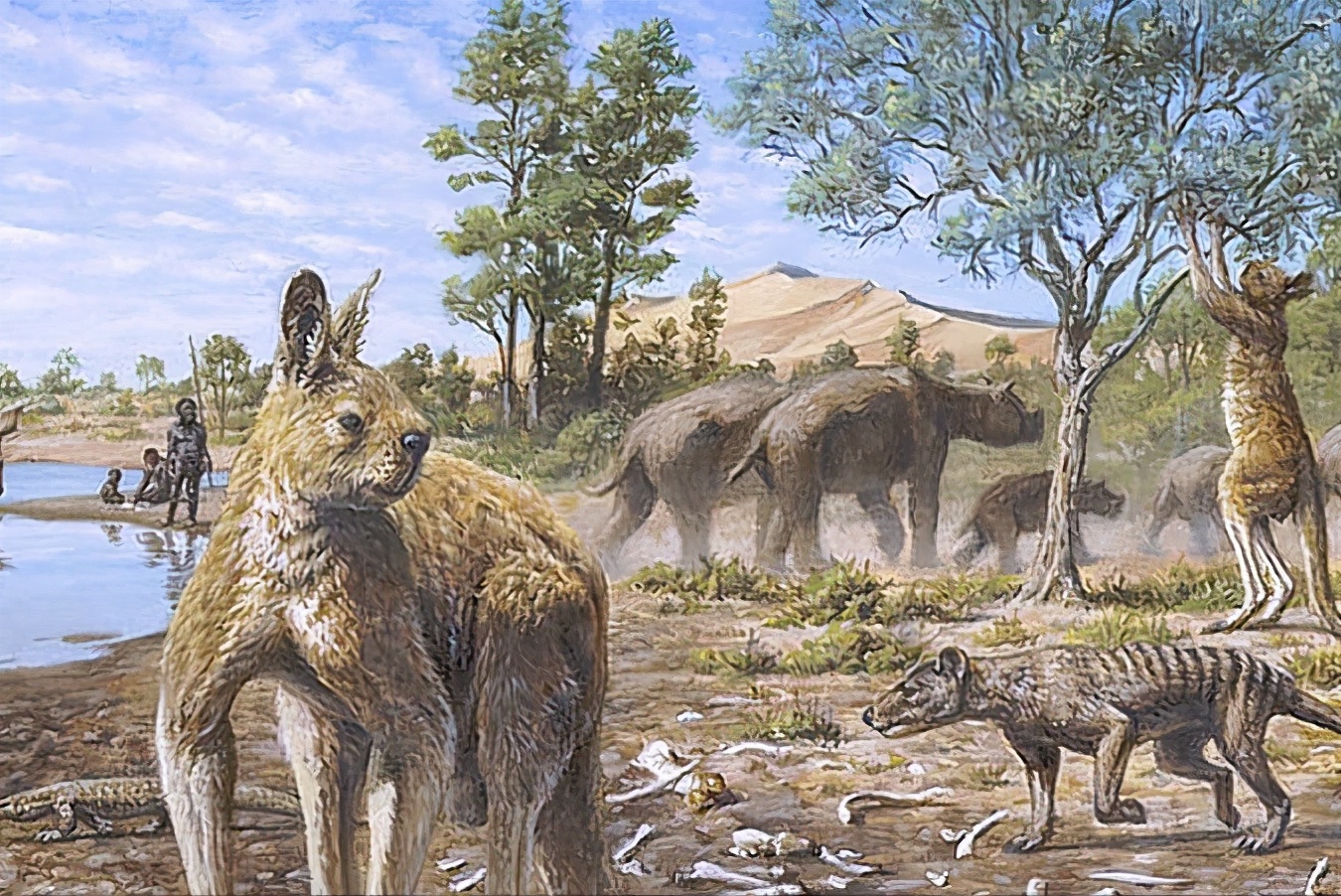 汽车|澳洲地大物博，两米大鸟，七米魔龙，汽车大巨兽，为何都灭绝了？