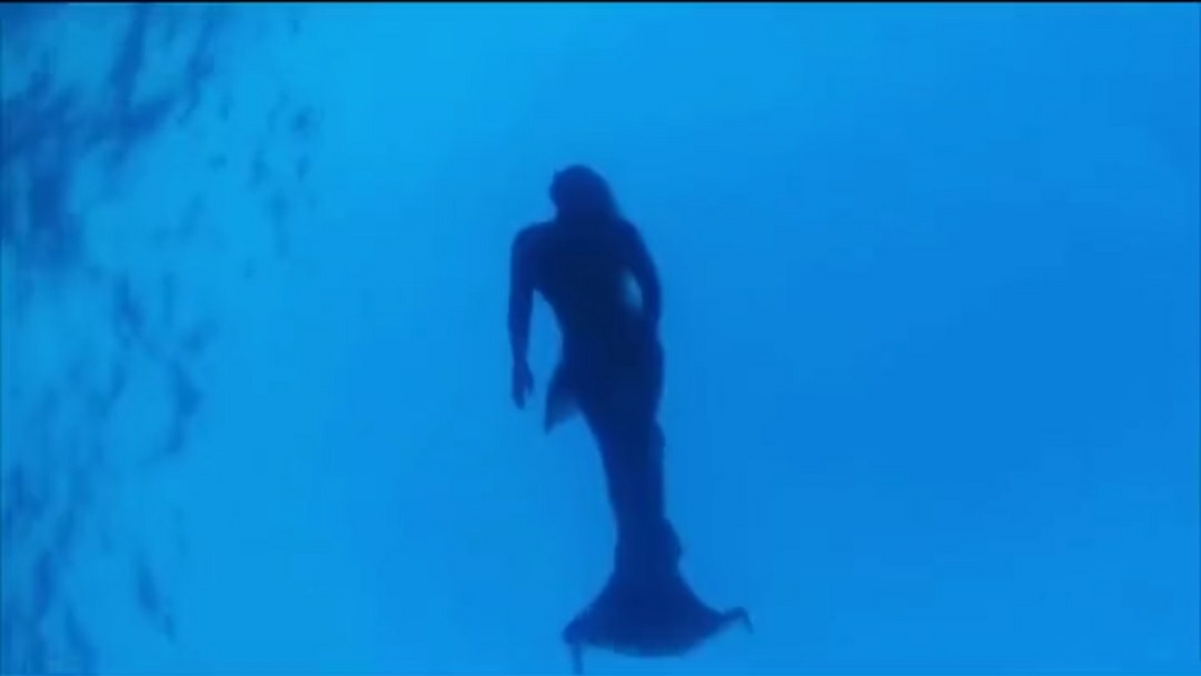 盗窃案 隐藏在深海中最凶残、狠毒的六种海洋生物！