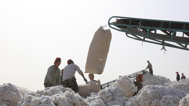 不學H&M和耐克，這個美企發聲力挺新疆棉花，昨年在華大賣184億-圖5