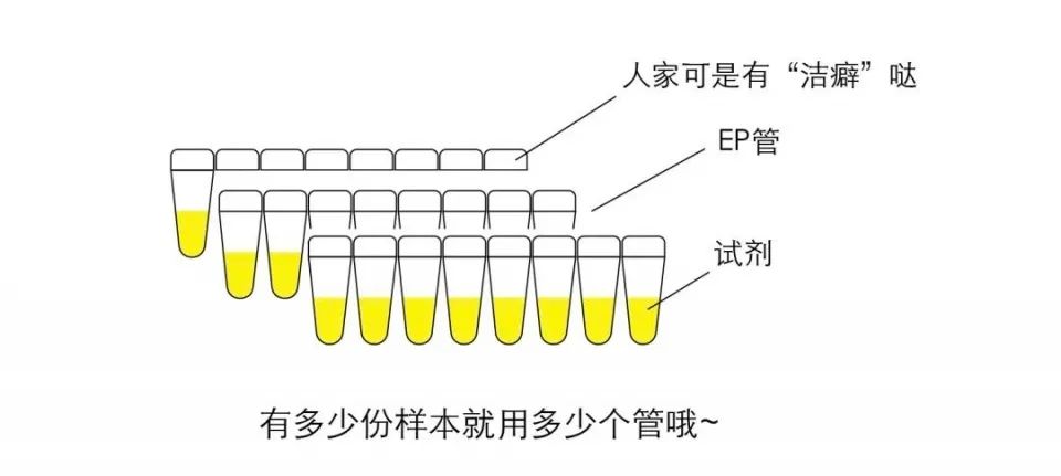 关注:核酸检测报告太慢?看完这篇文章你就明白了!