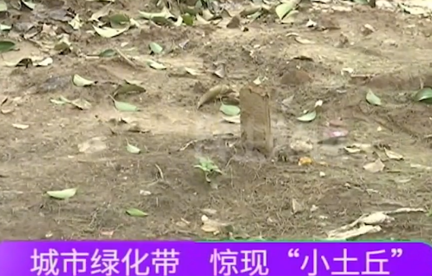 河南 这是什么操作？河南一小区门口绿化带埋20多个骨灰盒，高调办葬礼