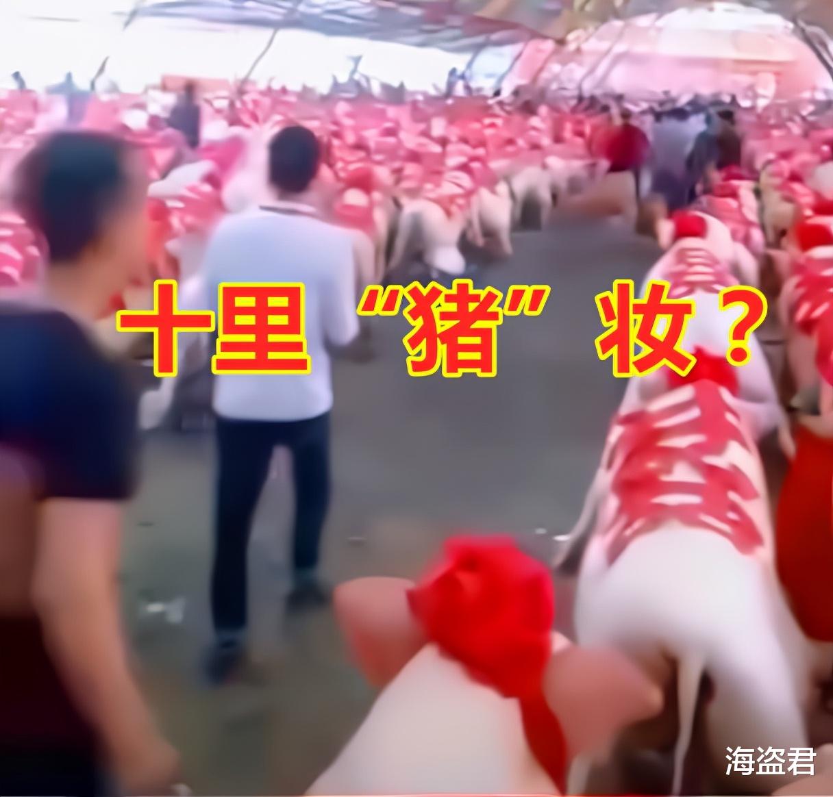 十里“猪”妆?女子结婚父母陪嫁288头大肥猪,身上贴满了红双喜