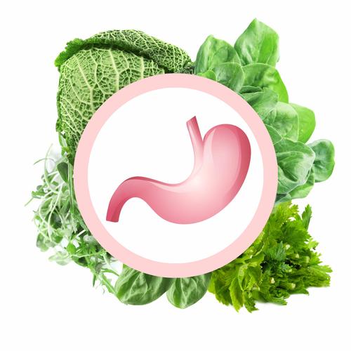 医生|幽门螺旋杆菌的“克星”出现了，常吃这4物，灭菌养胃，赶跑胃病