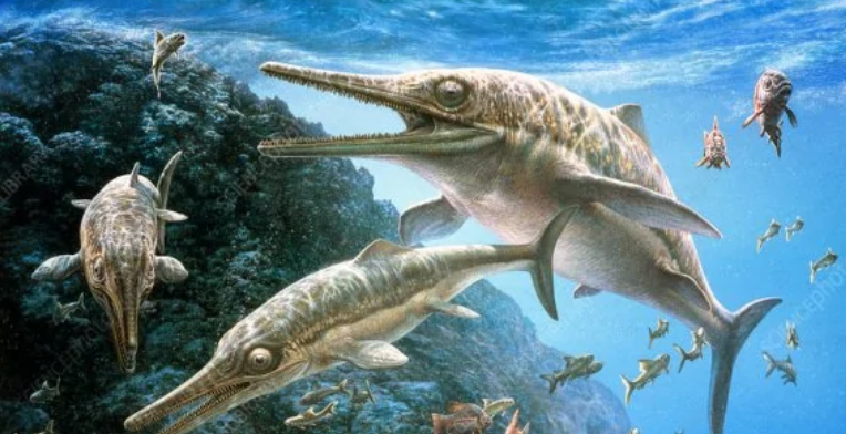 蚊子 鲨鱼进化之悲歌：被其他霸主欺负亿万年的感觉，你们人类不会懂的