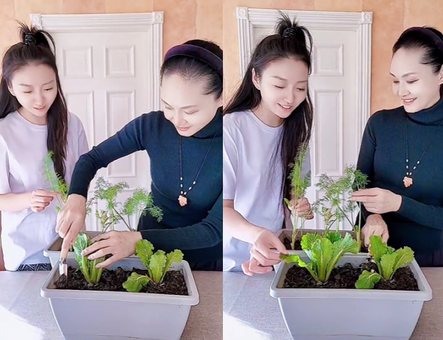 于文华|56岁于文华豪宅内种大葱！手握铁铲挖泥接地气，打扮朴素笑容满面