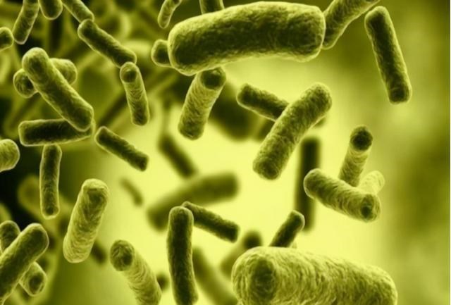 科学家 俄罗斯科学家为永生，注射350万年前的猛犸象细菌，后来怎样了？